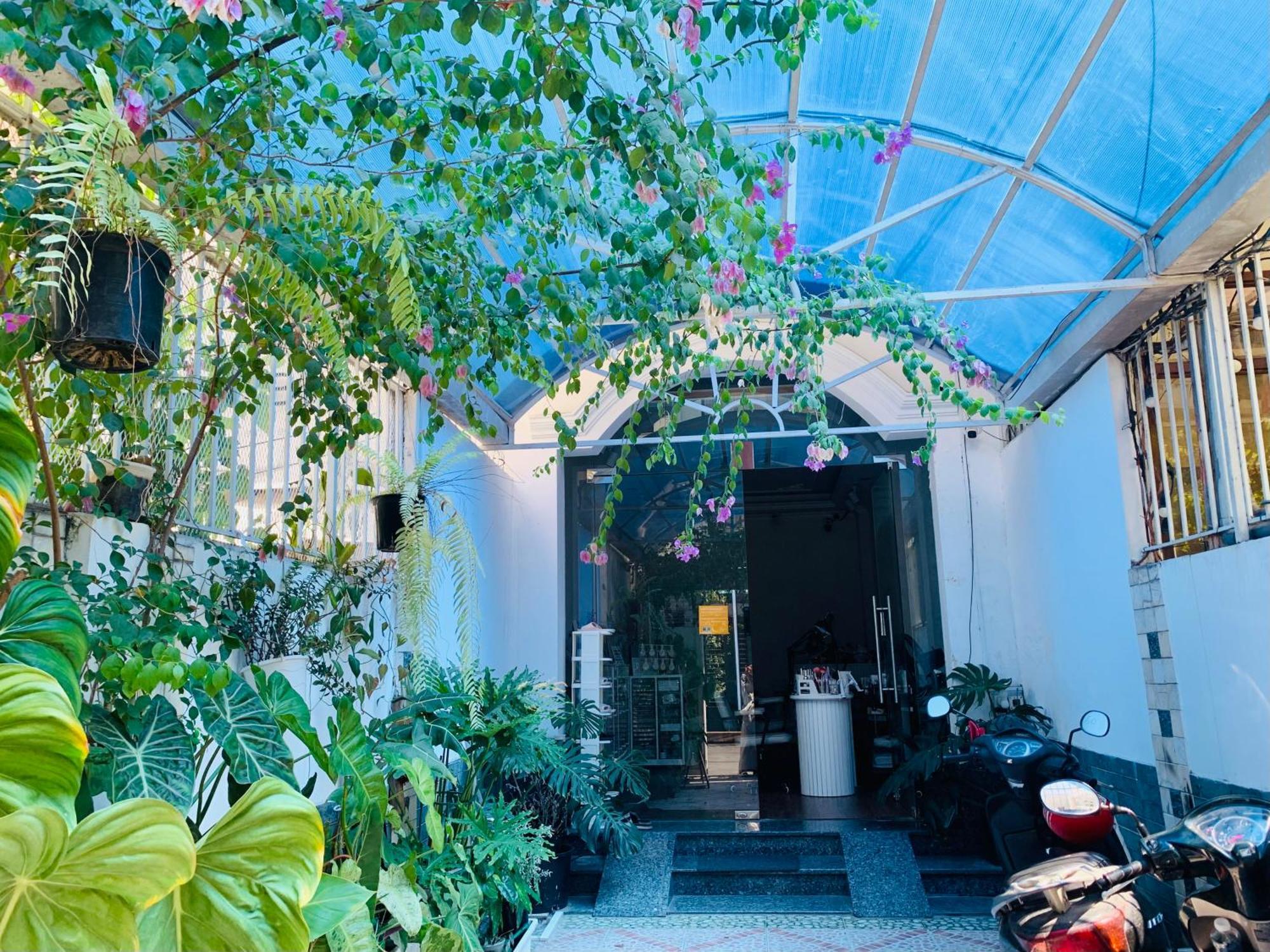 The Hideaway Alley Botanical Garden *